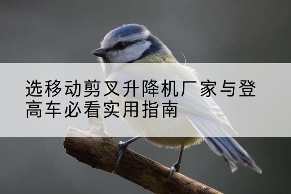 靖边电动升降机厂家-选移动剪叉升降机厂家与登高车必看实用指南