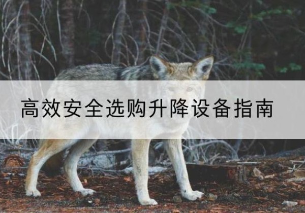 靖边升降货梯厂家推荐-*安全选购升降设备指南